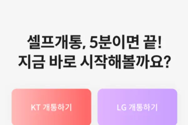 셀프개통 시작 화면. KT 개통하기와 LG 개통하기 버튼이 있어요